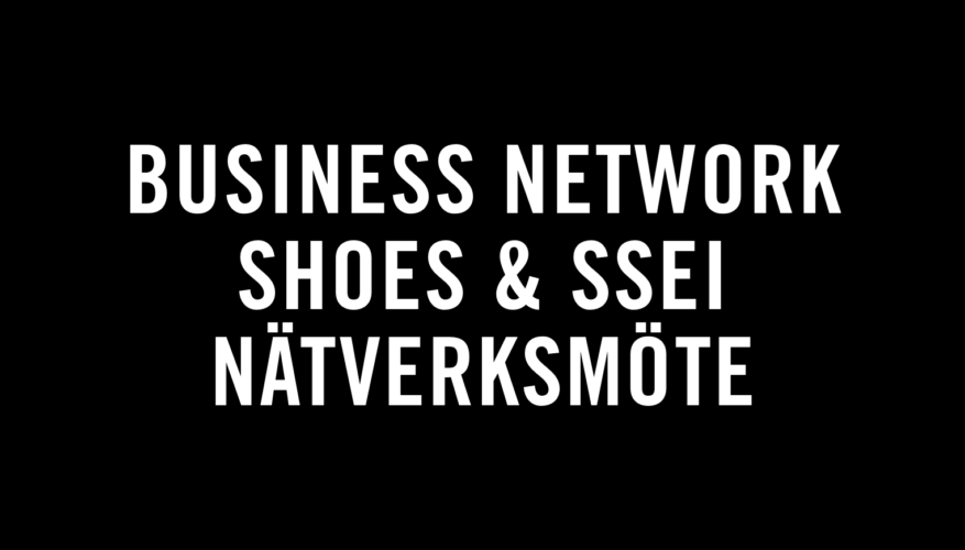 business-network-shoes-ssei